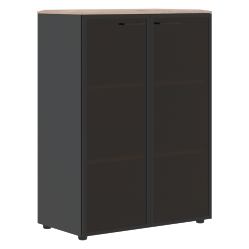 Шкаф комбинированный с дверьми в металлической рамке 850x430x1165